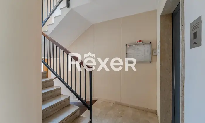 Rexer-Pero-VENDESI-TRILOCALE-CON-BOX-Altro