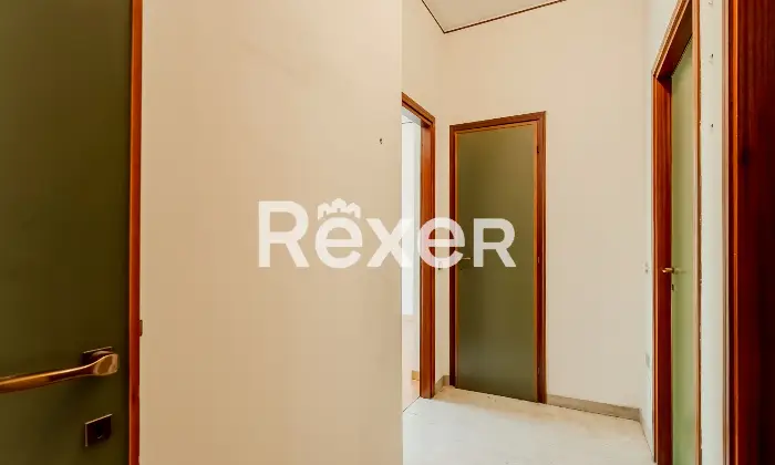 Rexer-Pero-VENDESI-TRILOCALE-CON-BOX-Altro