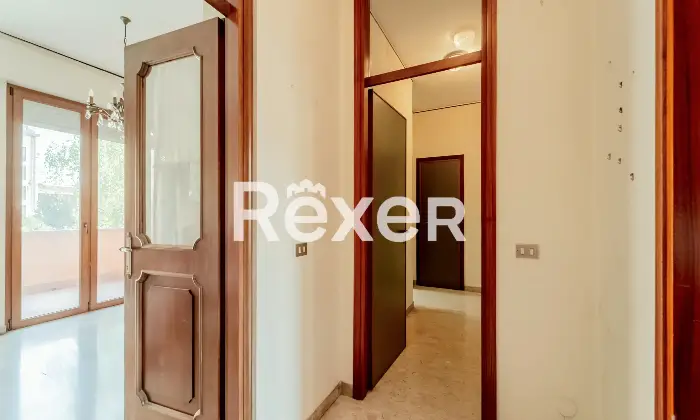 Rexer-Pero-VENDESI-TRILOCALE-CON-BOX-Altro