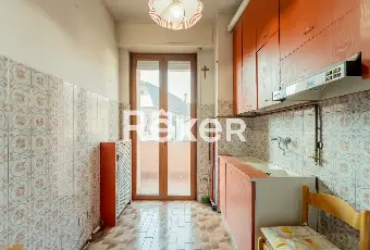 Rexer-Pero-VENDESI-TRILOCALE-CON-BOX-Altro