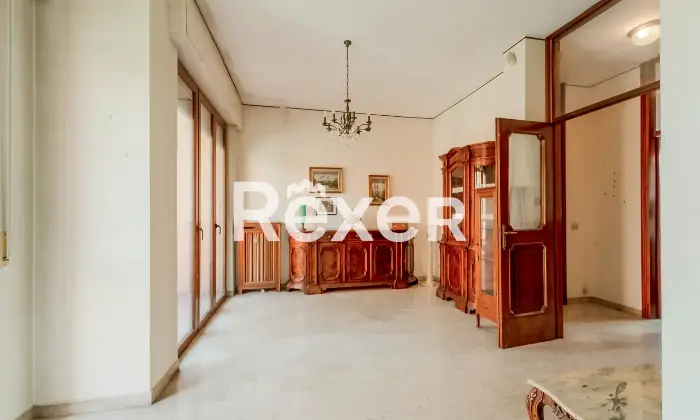 Rexer-Pero-VENDESI-TRILOCALE-CON-BOX-Altro