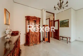 Rexer-Pero-VENDESI-TRILOCALE-CON-BOX-Altro