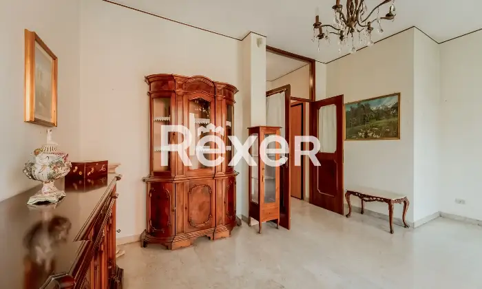 Rexer-Pero-VENDESI-TRILOCALE-CON-BOX-Altro