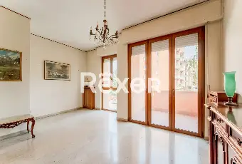 Rexer-Pero-VENDESI-TRILOCALE-CON-BOX-Altro
