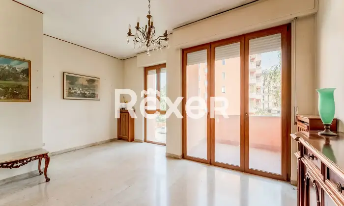 Rexer-Pero-VENDESI-TRILOCALE-CON-BOX-Altro