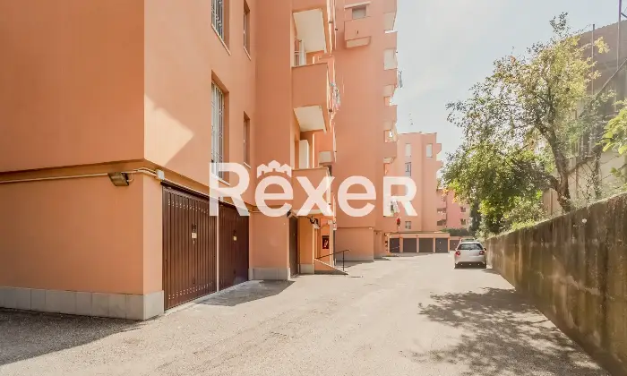 Rexer-Pero-VENDESI-TRILOCALE-CON-BOX-Altro