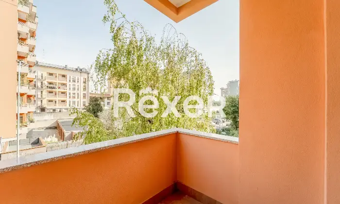 Rexer-Pero-VENDESI-TRILOCALE-CON-BOX-Altro