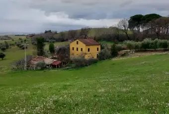 Rexer-Macerata-Casa-indipendente-con-terreno-agricolo-di-ettari-nelle-colline-maceratesi-Altro