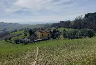 Rexer-Macerata-Casa-indipendente-con-terreno-agricolo-di-ettari-nelle-colline-maceratesi-Altro