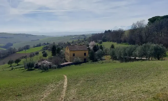 Rexer-Macerata-Casa-indipendente-con-terreno-agricolo-di-ettari-nelle-colline-maceratesi-Altro