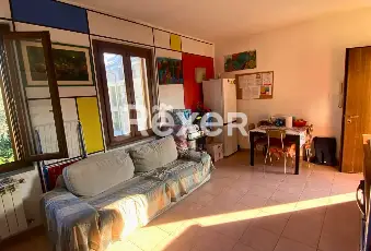 Rexer-Vaprio-dAdda-BILOCALE-IN-CASA-DI-RINGHIERA-ATTUALMENTE-A-REDDITO-Altro