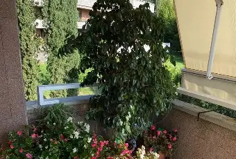 Rexer-Gardone-Riviera-Vendesi-nuda-propriet-Appartamento-signorile-a-m-dal-Lago-di-Garda-Gardone-Riviera-Altro