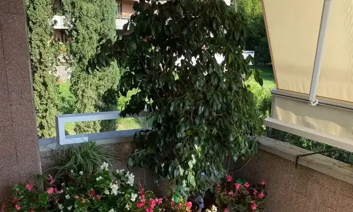 Rexer-Gardone-Riviera-Vendesi-nuda-propriet-Appartamento-signorile-a-m-dal-Lago-di-Garda-Gardone-Riviera-Altro