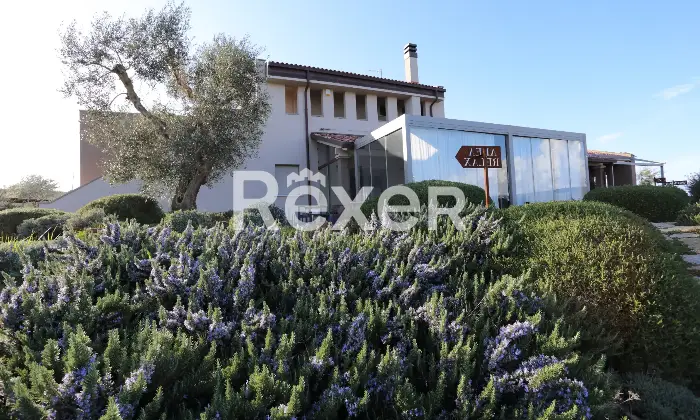 Rexer-Magliano-in-Toscana-Raffinata-propriet-panoramica-con-due-unit-abitative-e-uliveto-biologico-Altro