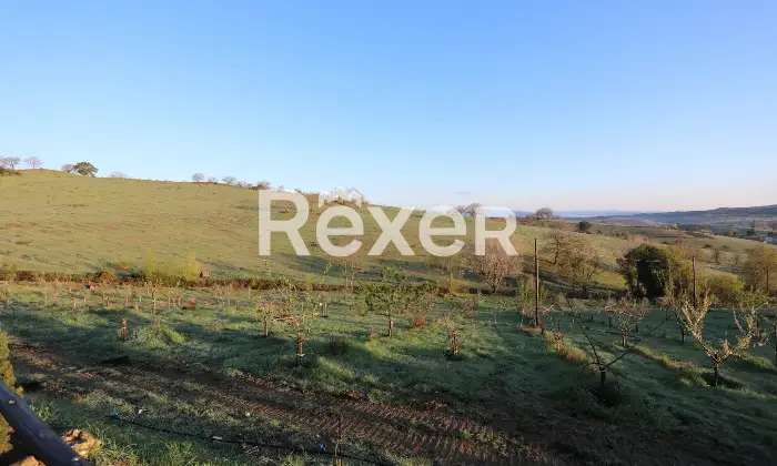 Rexer-Magliano-in-Toscana-Raffinata-propriet-panoramica-con-due-unit-abitative-e-uliveto-biologico-Altro