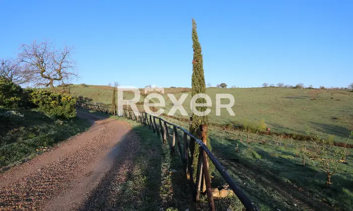 Rexer-Magliano-in-Toscana-Raffinata-propriet-panoramica-con-due-unit-abitative-e-uliveto-biologico-Altro