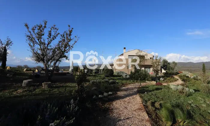 Rexer-Magliano-in-Toscana-Raffinata-propriet-panoramica-con-due-unit-abitative-e-uliveto-biologico-Altro