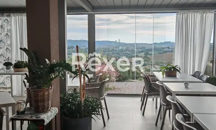 Rexer-Magliano-in-Toscana-Raffinata-propriet-panoramica-con-due-unit-abitative-e-uliveto-biologico-Altro