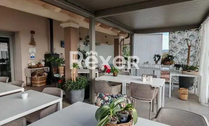 Rexer-Magliano-in-Toscana-Raffinata-propriet-panoramica-con-due-unit-abitative-e-uliveto-biologico-Altro