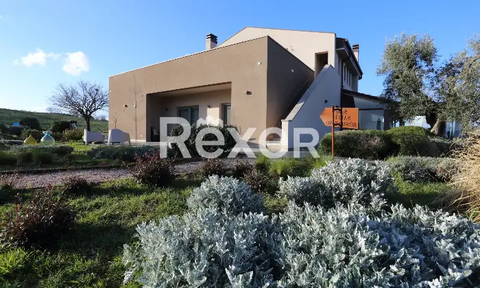 Rexer-Magliano-in-Toscana-Raffinata-propriet-panoramica-con-due-unit-abitative-e-uliveto-biologico-Altro