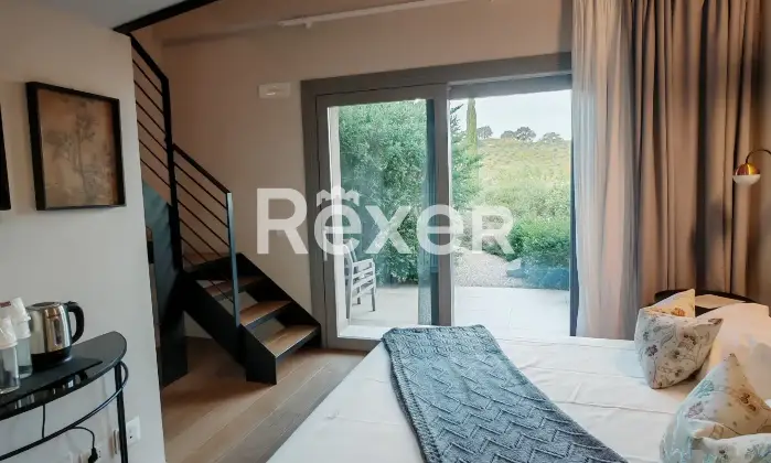 Rexer-Magliano-in-Toscana-Raffinata-propriet-panoramica-con-due-unit-abitative-e-uliveto-biologico-Altro
