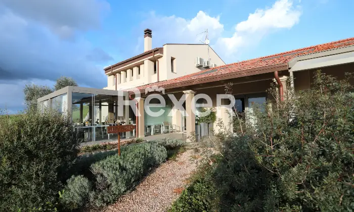 Rexer-Magliano-in-Toscana-Raffinata-propriet-panoramica-con-due-unit-abitative-e-uliveto-biologico-Altro