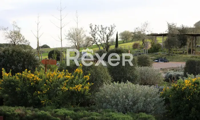 Rexer-Magliano-in-Toscana-Raffinata-propriet-panoramica-con-due-unit-abitative-e-uliveto-biologico-Altro