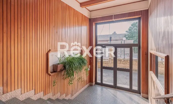 Rexer-Nettuno-Monolocale-Arredato-a-Pochi-Passi-dal-Mare-Altro