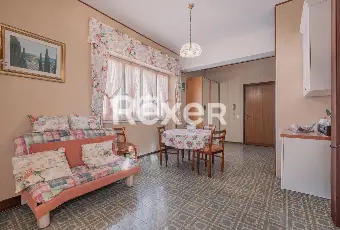 Rexer-Nettuno-Monolocale-Arredato-a-Pochi-Passi-dal-Mare-Altro