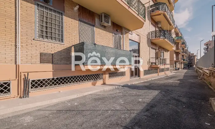 Rexer-Nettuno-Monolocale-Arredato-a-Pochi-Passi-dal-Mare-Altro
