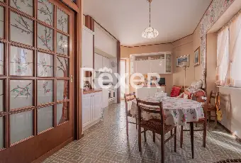 Rexer-Nettuno-Monolocale-Arredato-a-Pochi-Passi-dal-Mare-Altro