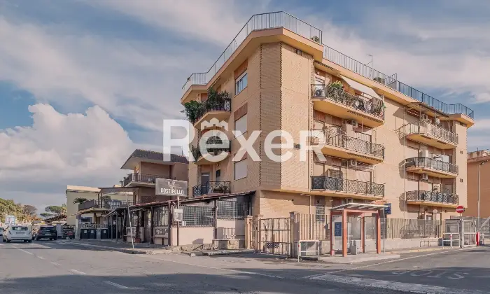 Rexer-Nettuno-Monolocale-Arredato-a-Pochi-Passi-dal-Mare-Altro