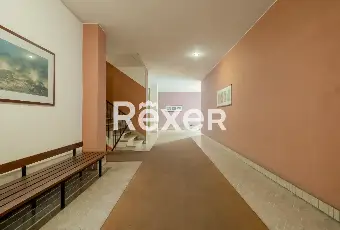 Rexer-Roma-Luminoso-quadrilocale-Altro