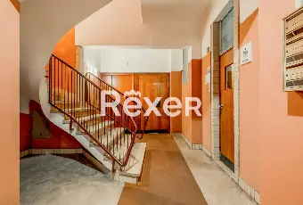 Rexer-Roma-Luminoso-quadrilocale-Altro