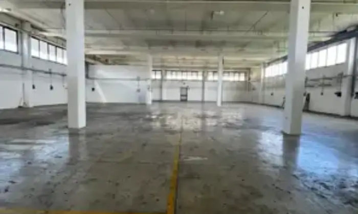 Rexer-Cavriago-Capannone-industriale-con-uffici-Via-dellIndustria-Cavriago-Altro