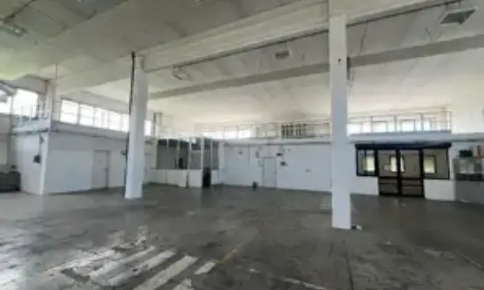 Rexer-Cavriago-Capannone-industriale-con-uffici-Via-dellIndustria-Cavriago-Altro