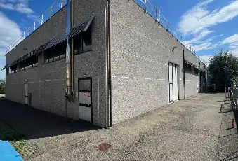 Rexer-Cavriago-Capannone-industriale-con-uffici-Via-dellIndustria-Cavriago-Altro