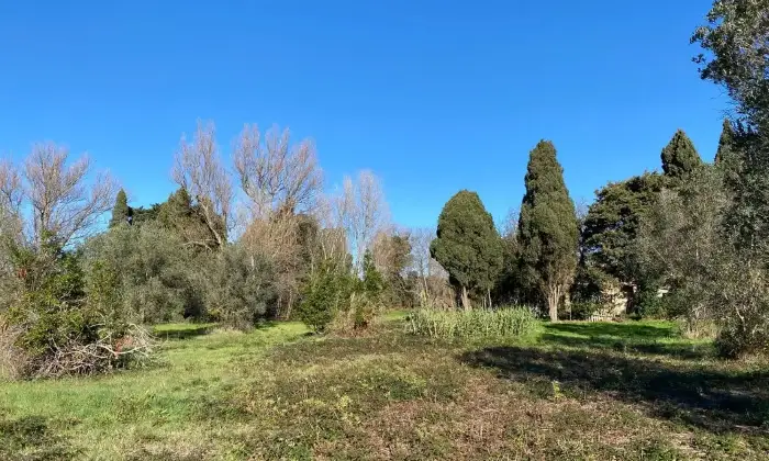 Rexer-Rosignano-SolvayCastiglioncello-Casalecascina-in-vendita-in-Via-del-Mondiglio-Poggi-PaoliPescine-Rosignano-Marittimo-Altro