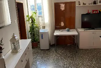 Rexer-Urbino-Prestigioso-immobile-con-terrazzo-panoramico-nel-Cuore-del-Centro-Storico-di-Urbino-Altro