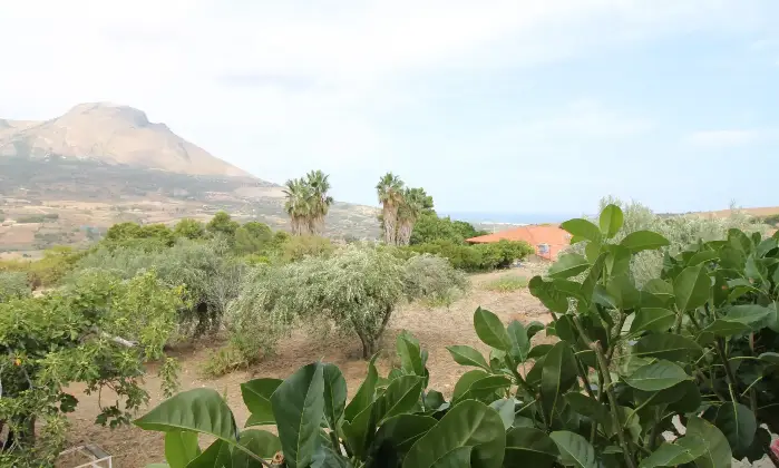 Rexer-Termini-Imerese-Ampia-Villa-in-vendita-Terrazzo