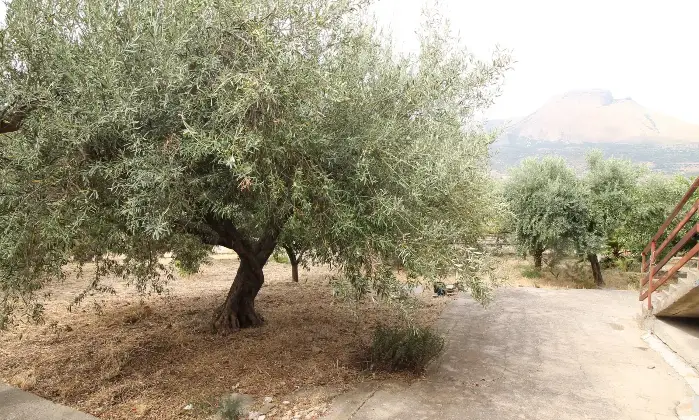 Rexer-Termini-Imerese-Ampia-Villa-in-vendita-Terrazzo