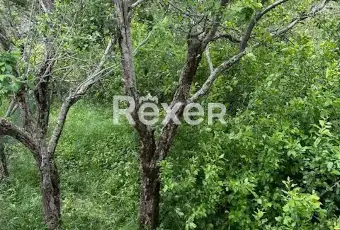 Rexer-Arcidosso-Appartamento-su-tre-livelli-in-immobile-antico-con-giardino-esclusivo-a-Salaiola-Altro