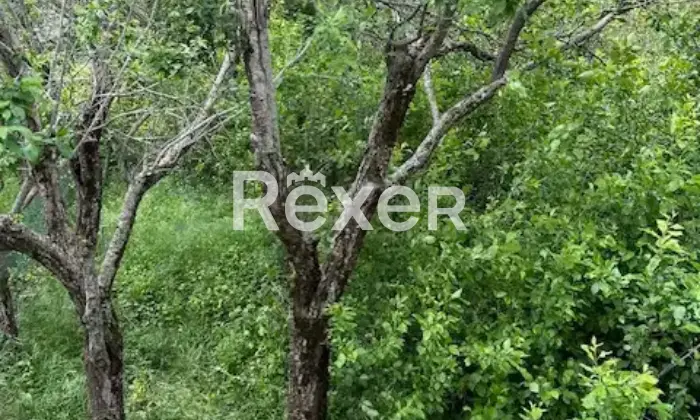 Rexer-Arcidosso-Appartamento-su-tre-livelli-in-immobile-antico-con-giardino-esclusivo-a-Salaiola-Altro
