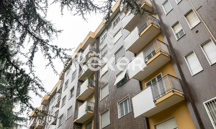 Rexer-Milano-Luminoso-Tre-Locali-con-Box-Altro