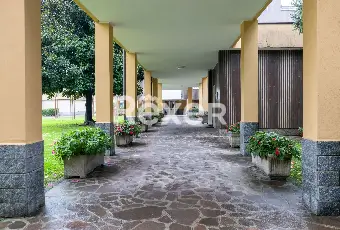 Rexer-Milano-Luminoso-Tre-Locali-con-Box-Altro