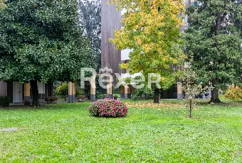 Rexer-Milano-Luminoso-Tre-Locali-con-Box-Altro