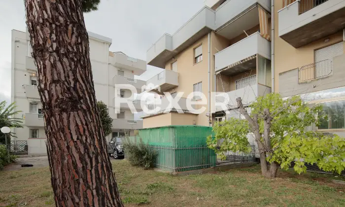 Rexer-Rimini-Bilocale-con-ingresso-indipendente-e-giardino-Altro