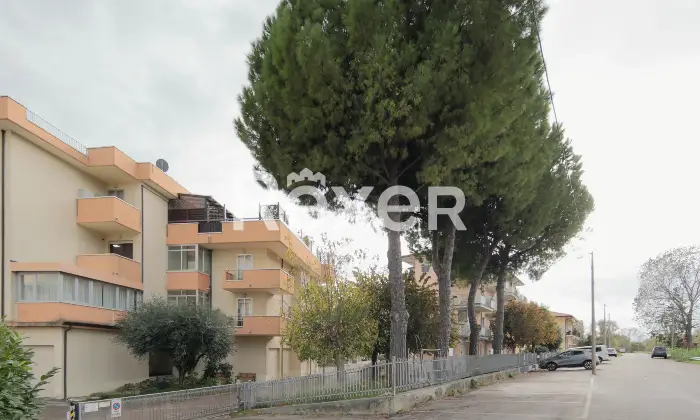 Rexer-Rimini-Bilocale-con-ingresso-indipendente-e-giardino-Altro