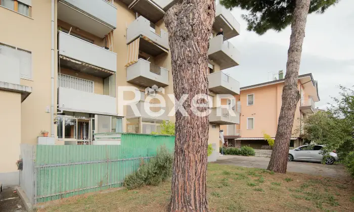 Rexer-Rimini-Bilocale-con-ingresso-indipendente-e-giardino-Altro