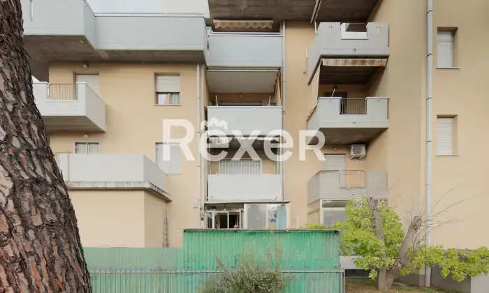 Rexer-Rimini-Bilocale-con-ingresso-indipendente-e-giardino-Altro